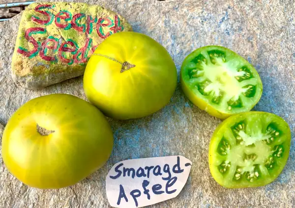 Tomaten: Smaragdapfel