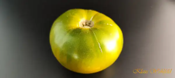 Tomaten: Smaragdapfel