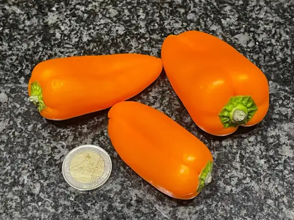 Chili / Paprika: Snack Paprika Orange