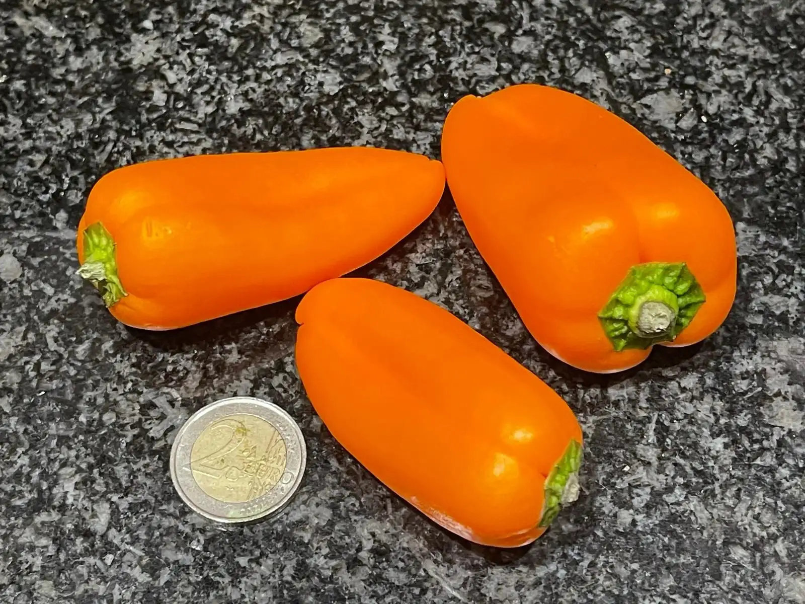 Chili / Paprika: Snack Paprika Orange