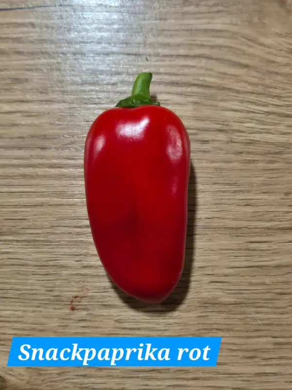 Chili / Paprika: Snackpaprika