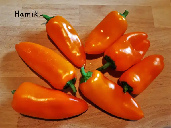 Chili / Paprika: Snackpaprika "Hamik"