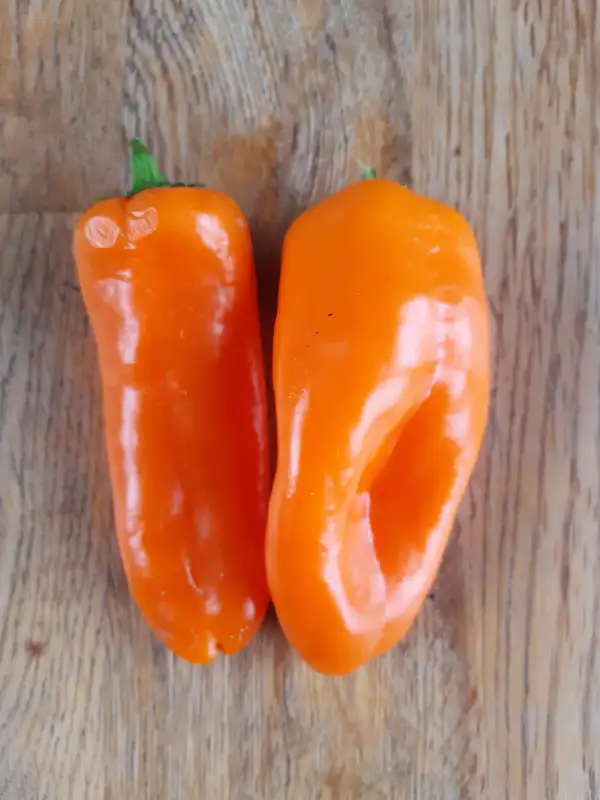 Chili / Paprika: Snackpaprika Hamik