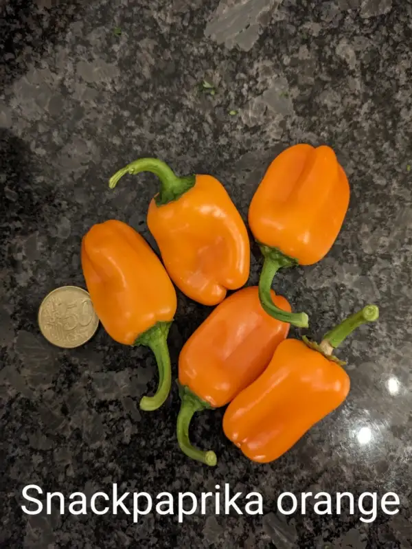 Chili / Paprika: Snackpaprika Orange