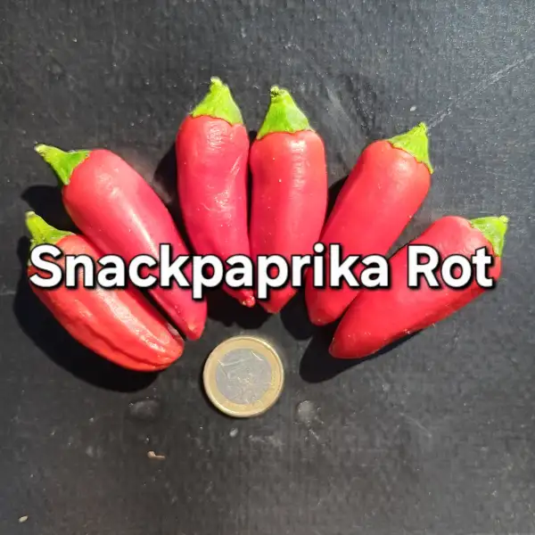 Chili / Paprika: Snackpaprika rot