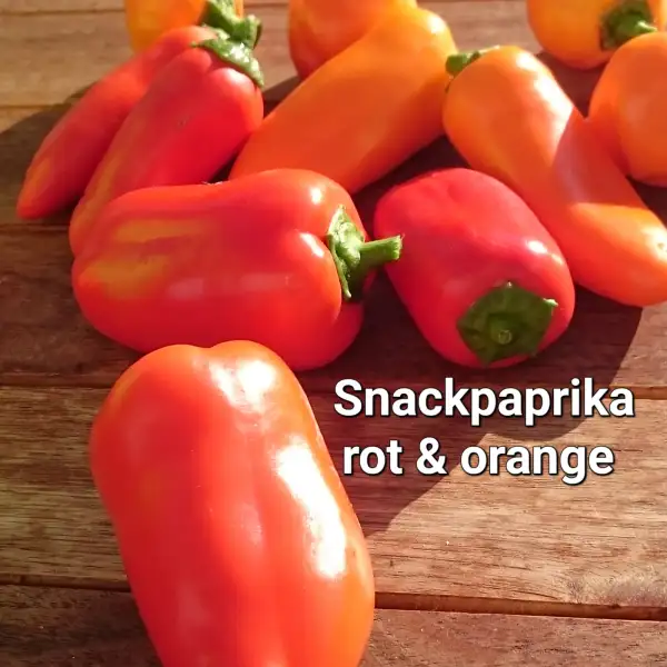 Chili / Paprika: Snackpaprika rot	Spitzpaprika	50cm	rot