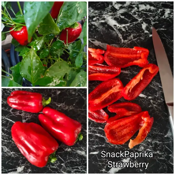 Paprika: Snackpaprika Strawberry