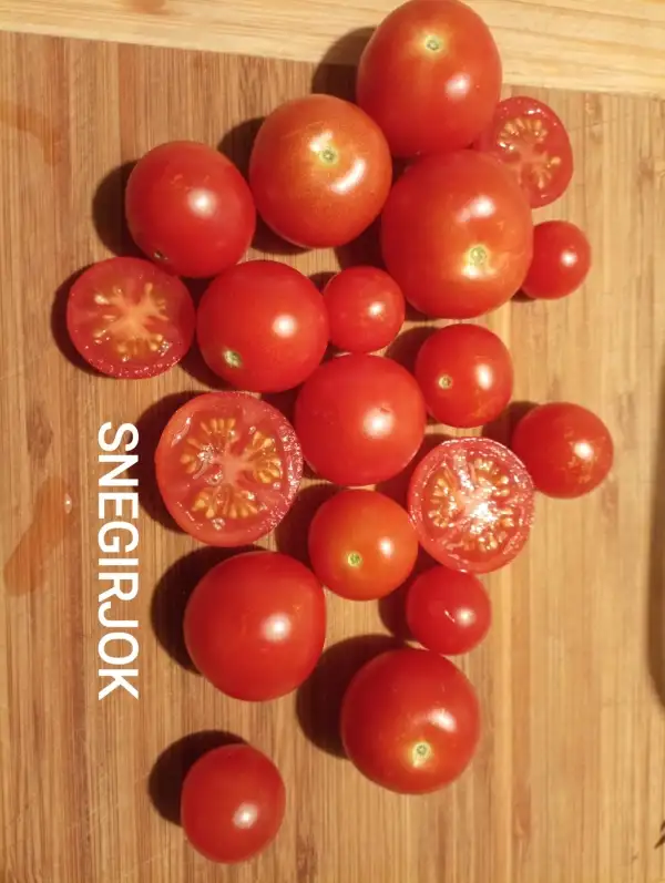 Tomaten: Snegirjok