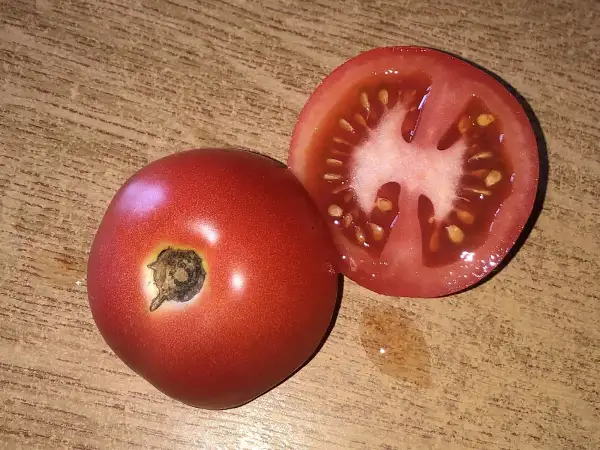 Tomaten: Snezhnaya Skazka