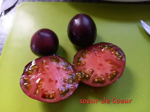 Tomaten: Soeur de Coeur