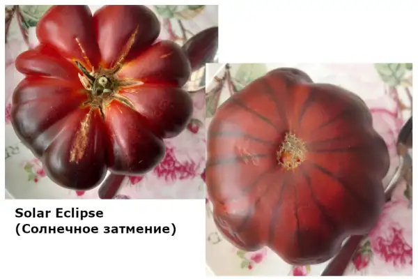 Tomaten: Solar Eclipse