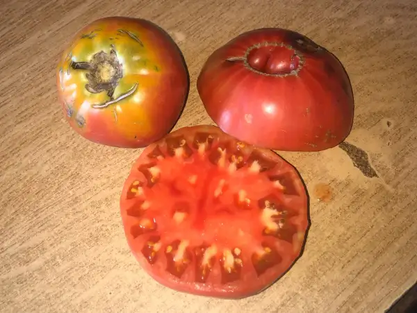Tomaten: Soldaki