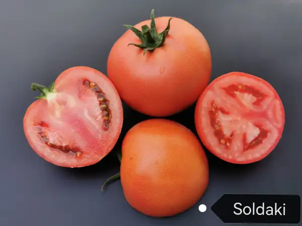 Tomaten: Soldaki