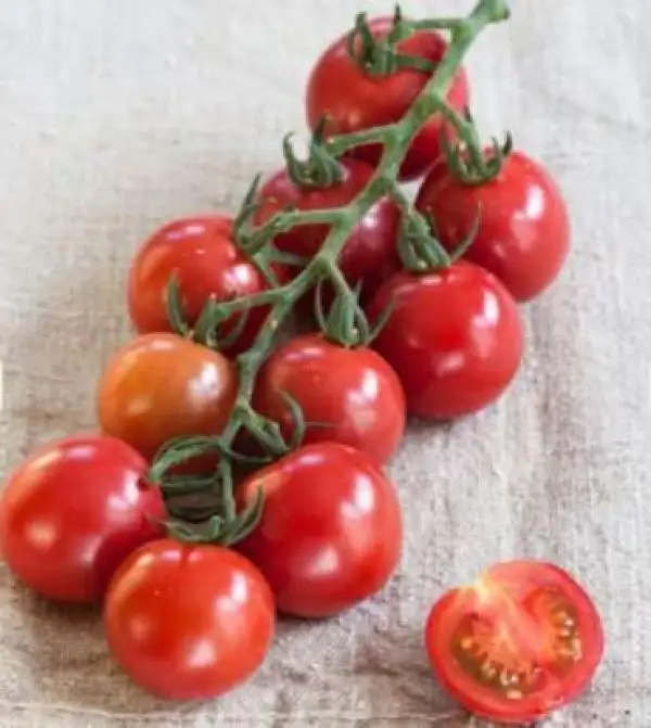 Tomaten: Solena Sweet Rose