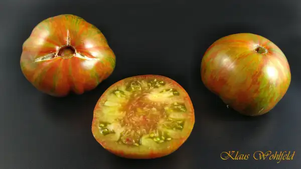 Tomaten: Sommer of Love