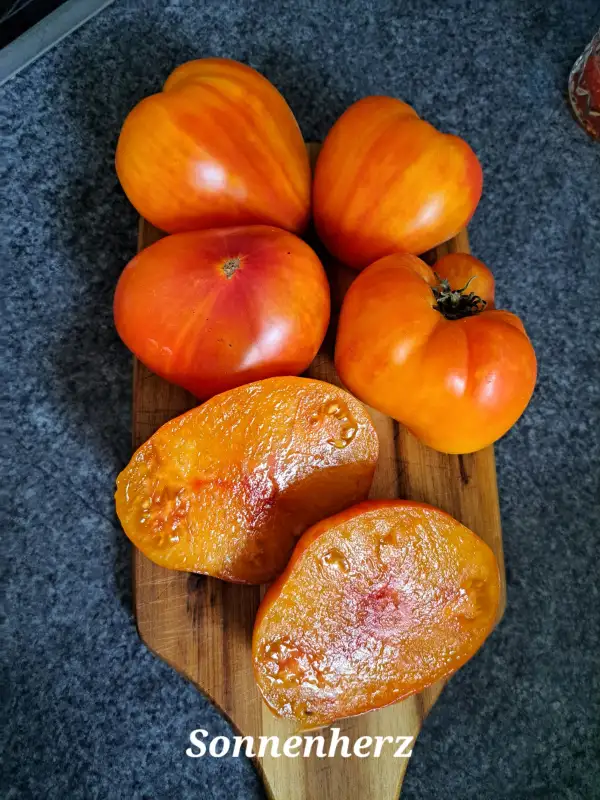 Tomaten: Sonnenherz