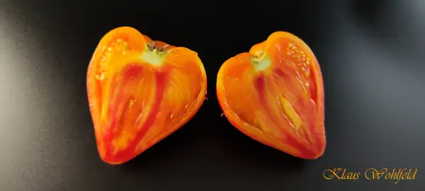 Tomaten: Sonnenherz