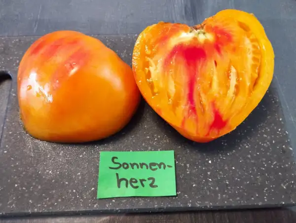 Tomaten: Sonnenherz