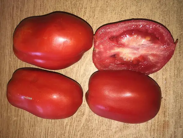 Tomaten: Sonno