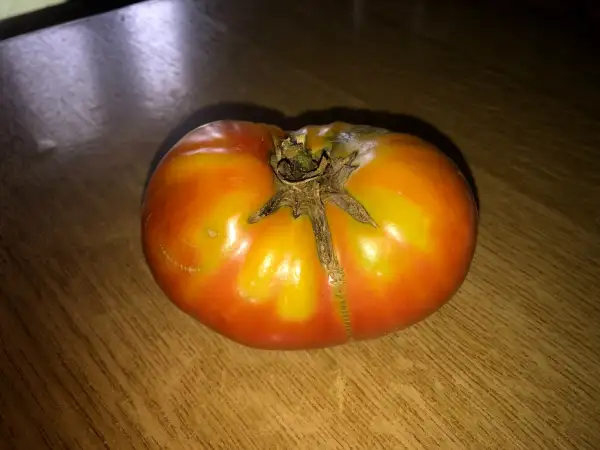 Tomaten: Sonrosado de Robledillo