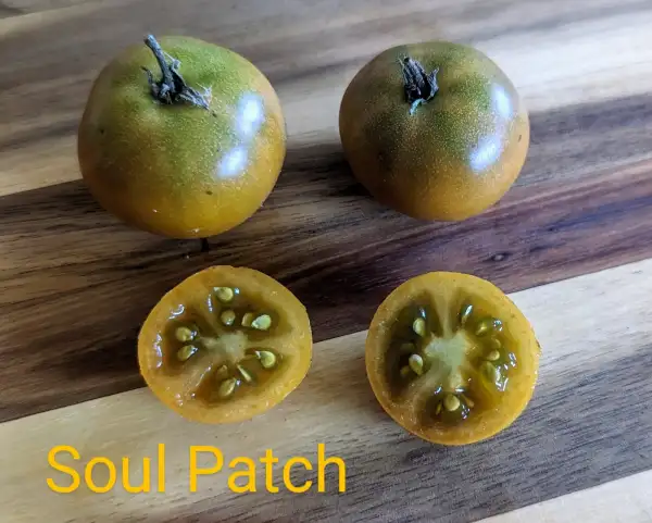 Tomaten: Soul Patch