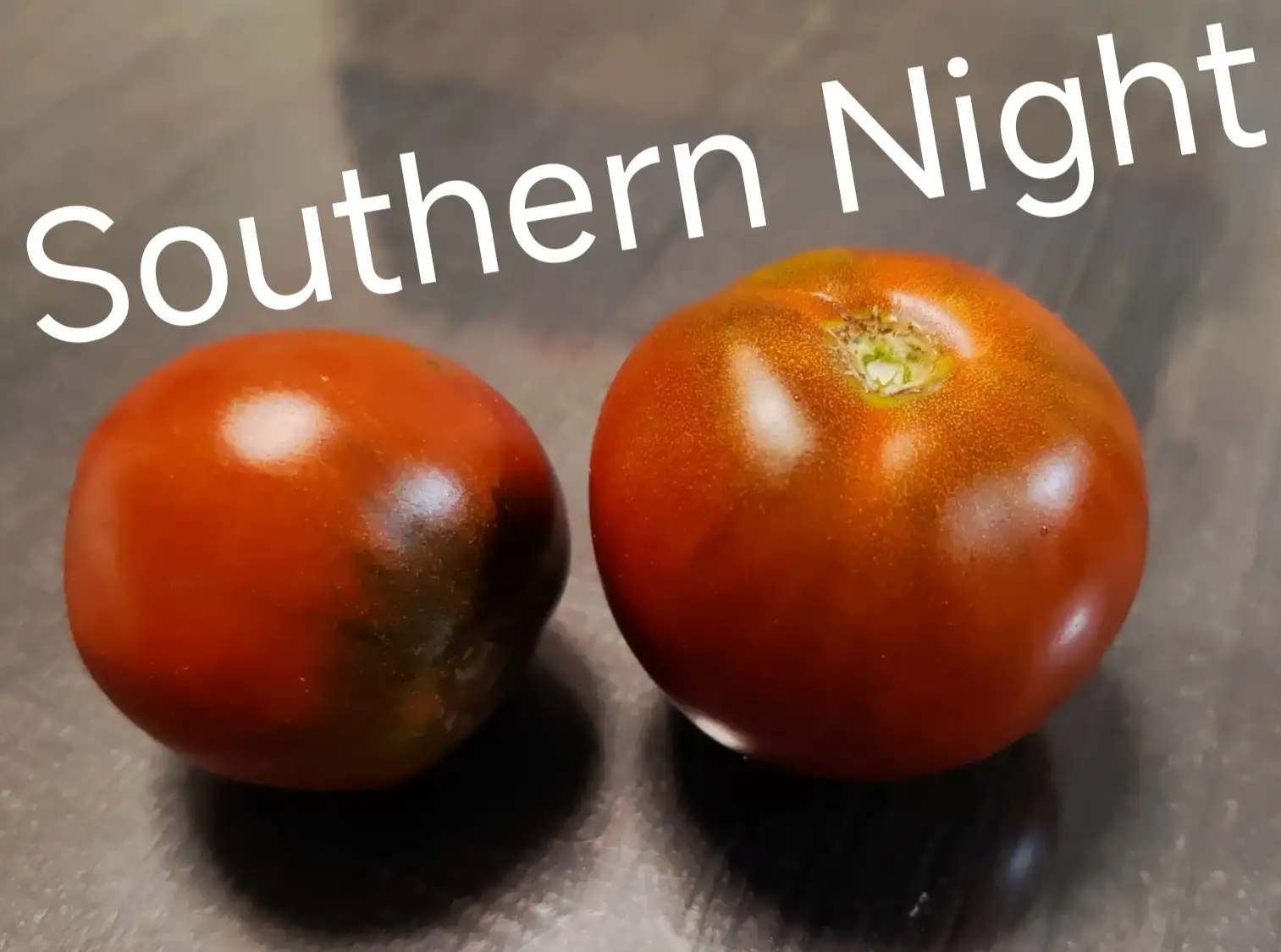 Tomaten: Southern Night