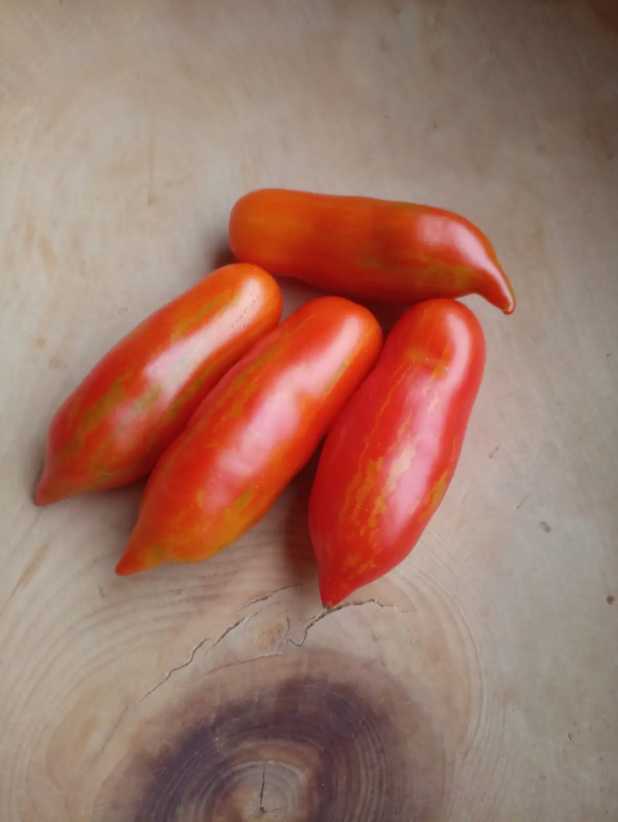 Tomaten: Spanish dancer