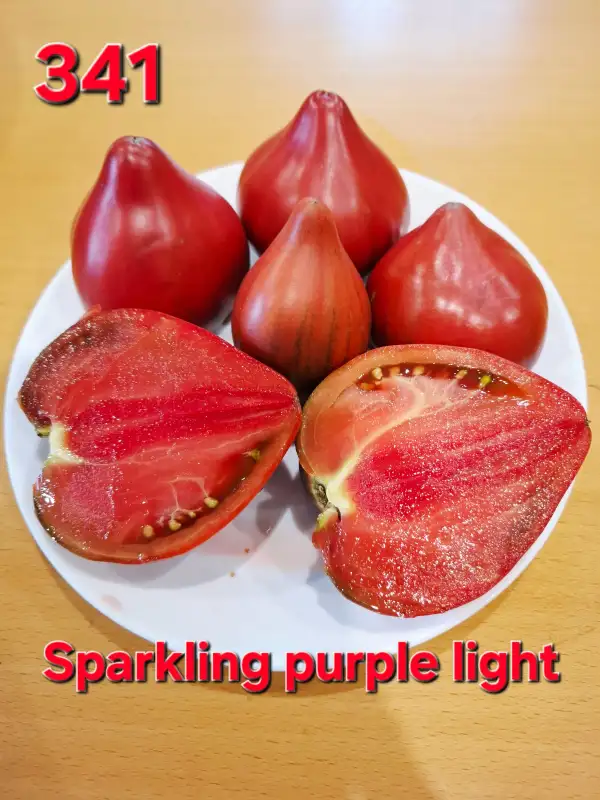 Tomaten: Sparkling purple light
