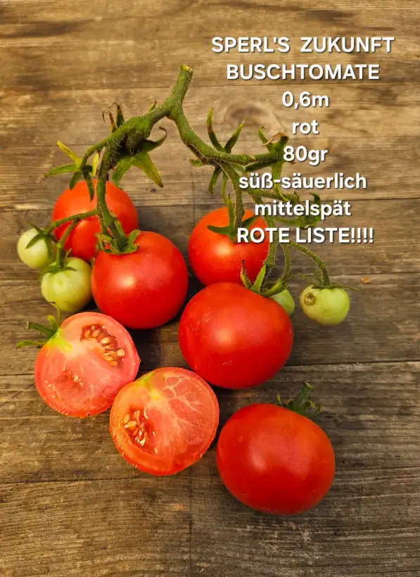 Tomaten: Sperl
