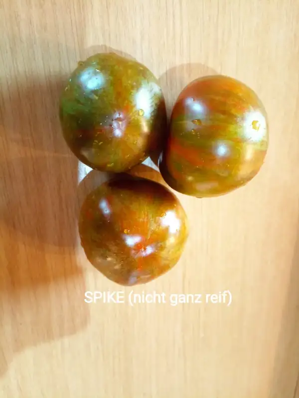 Tomaten: Spike