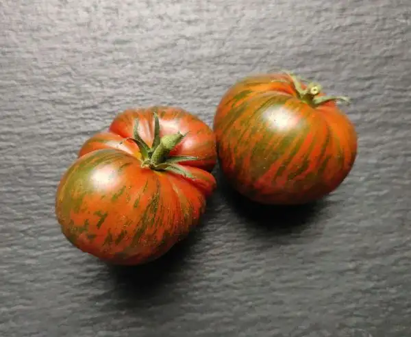 Tomaten: Spike