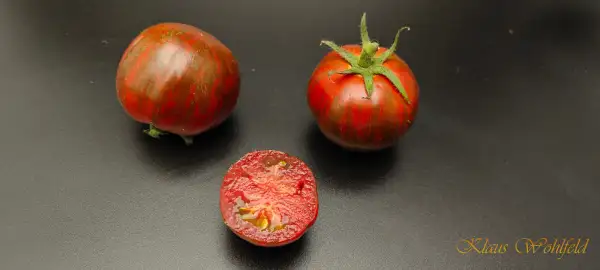 Tomaten: Spike