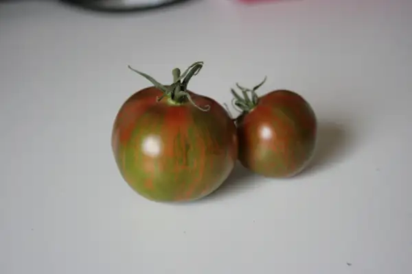 Tomaten: Spike