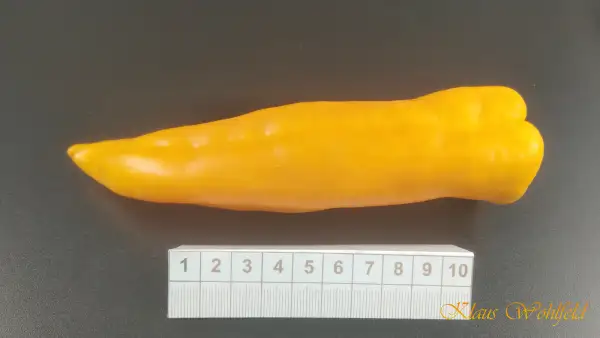 Chili / Paprika: Spitzpaprika gelb