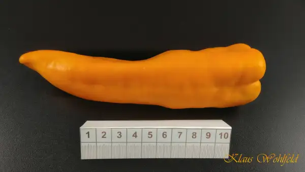 Chili / Paprika: Spitzpaprika Orange
