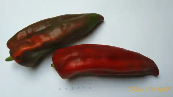 Chili / Paprika: Spitzpaprika rot Jumbo