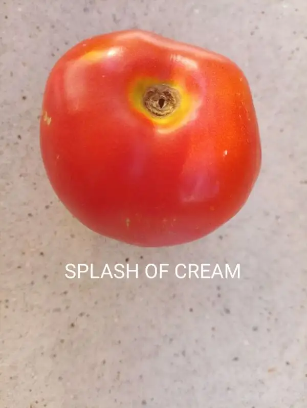 Tomaten: Splash of Cream