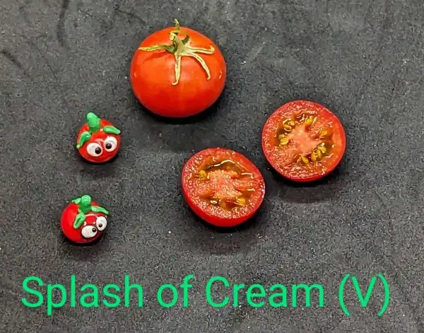 Tomaten: Splash of Cream