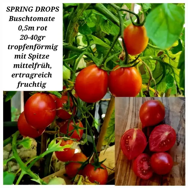 Tomaten: SPRING DROPS