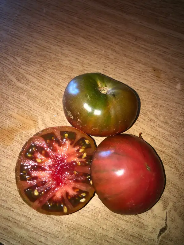 Tomaten: Spudatula