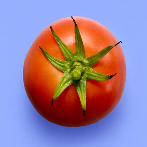 Tomaten: St. Pierre