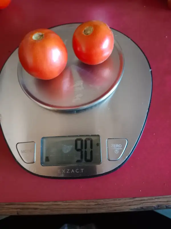 Tomaten: St. Pierre