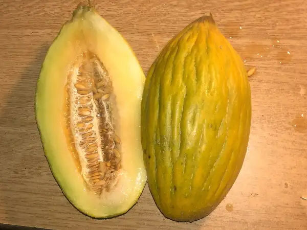 Melonen: St. Vasileios melone