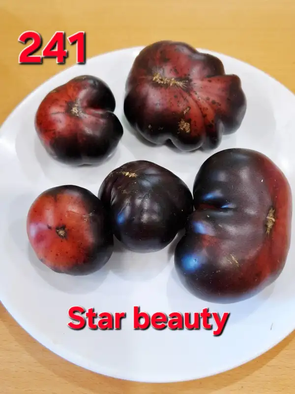 Tomaten: Star beauty