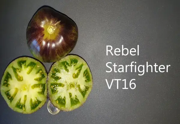 Tomaten: Starfighter VT 16