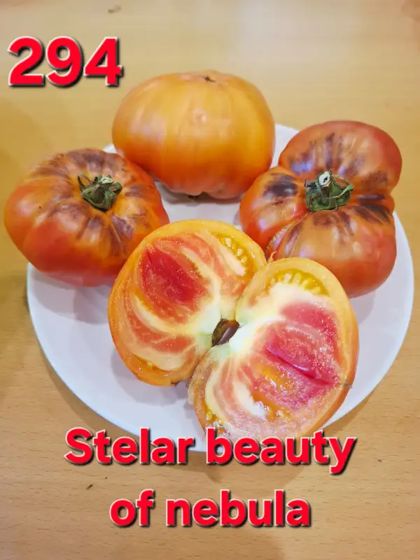 Tomaten: Stelar beauty of nebula
