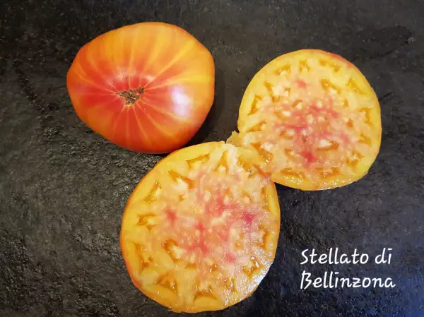 Tomaten: Stellato di Bellinzona