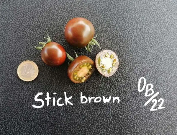 Tomaten: Stick brown