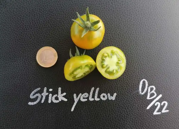 Tomaten: Stick yellow
