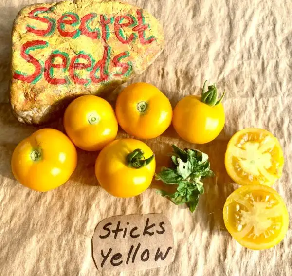 Tomaten: Sticks Yellow